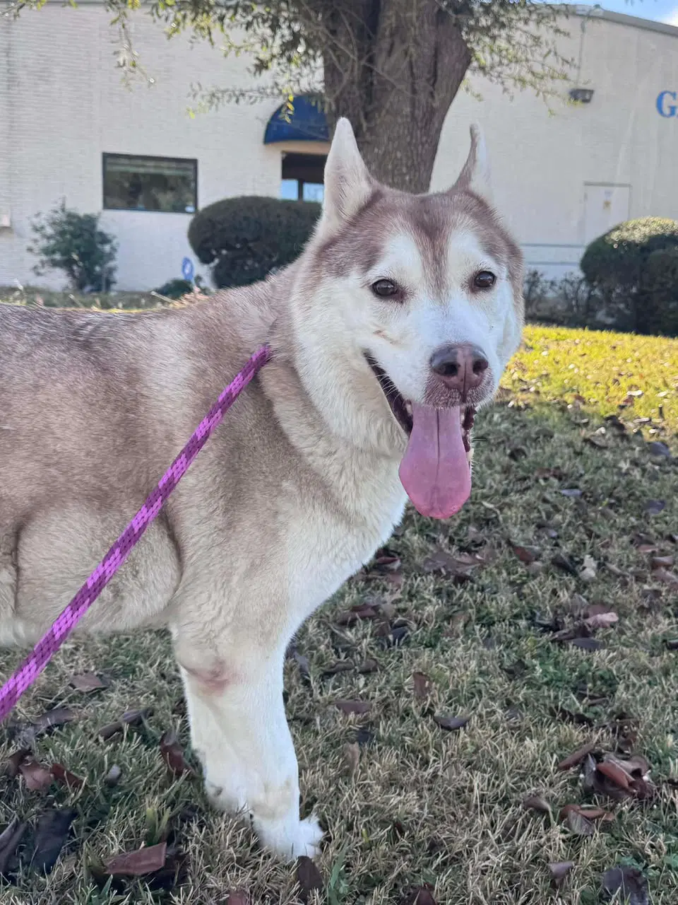 Sasha image 3