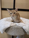 Frederick - Photo 2