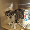 Edith - Photo 3