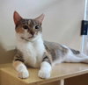 Edith - Photo 2