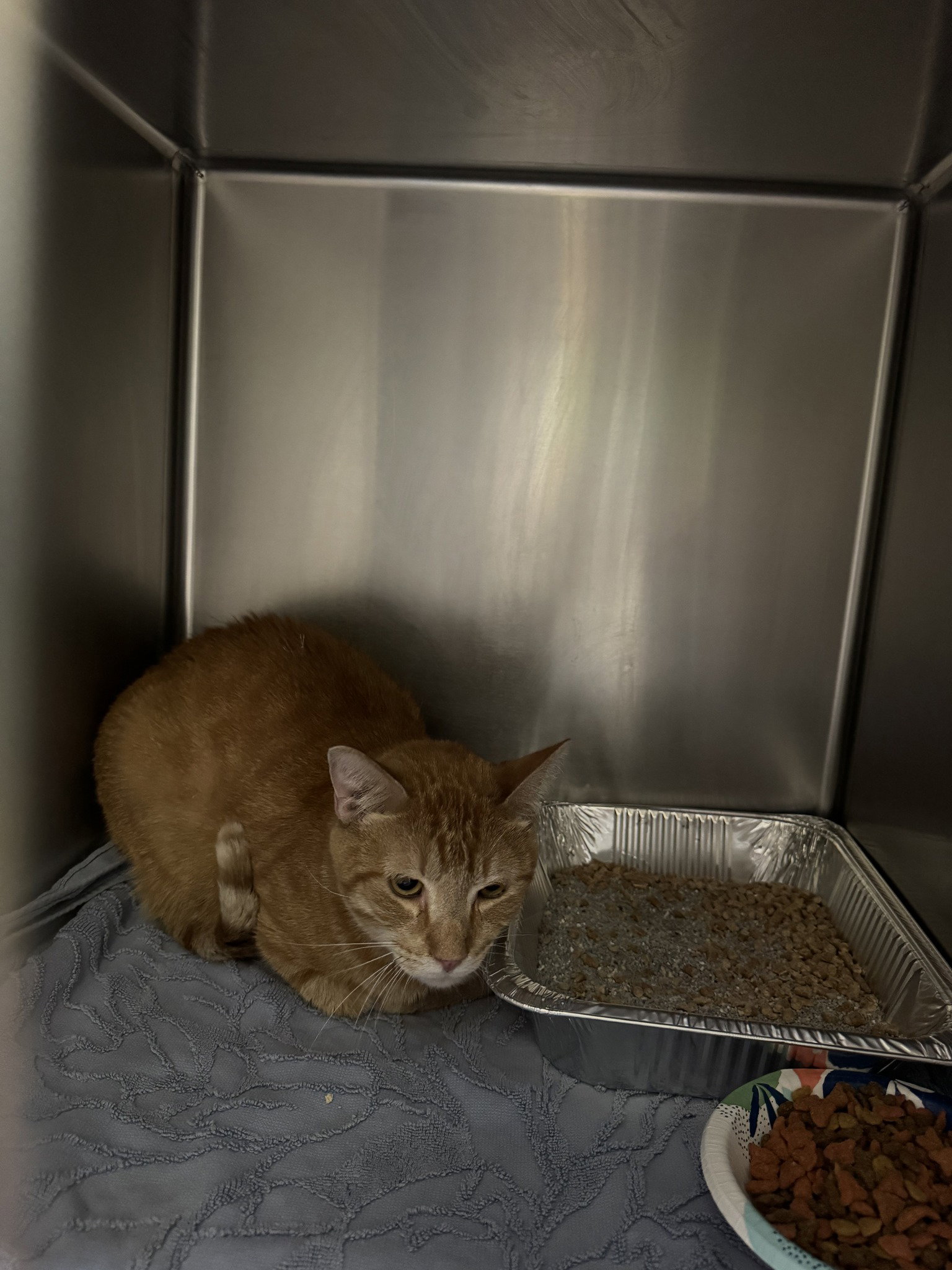 Michael B Jordan Image