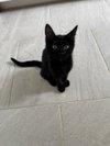 Delilah - Photo 2