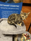 Meows - Photo 2