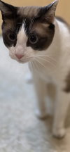 Bluzey - Photo 2