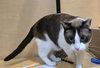 Bluzey - Photo 3