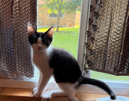 Minnie