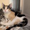 Kiara - Photo 1
