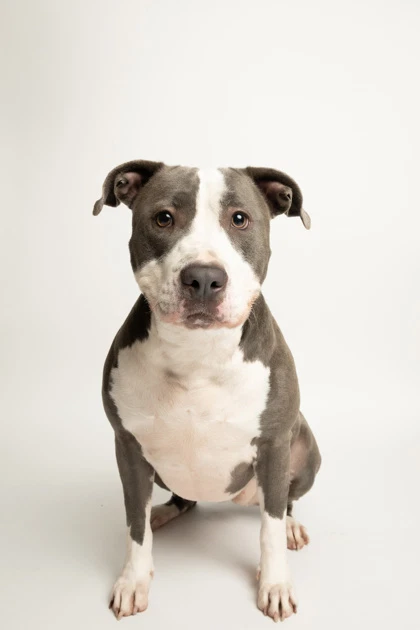 Nala