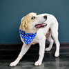 WYLIE - Photo 3