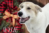 WYLIE - Photo 4