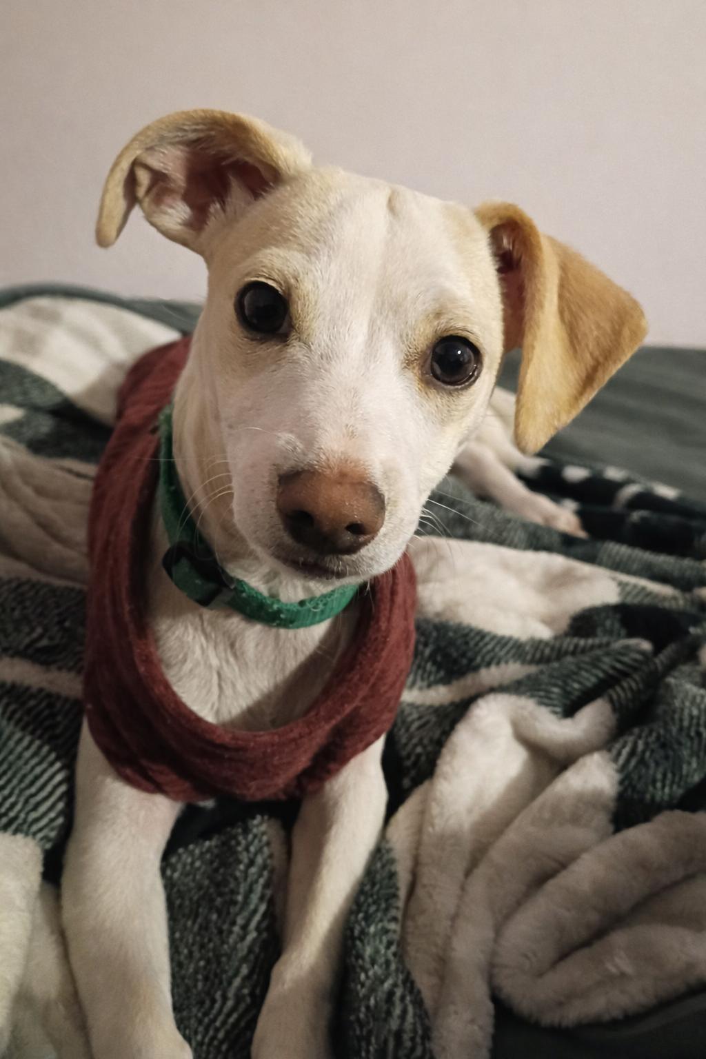 SEYMOUR