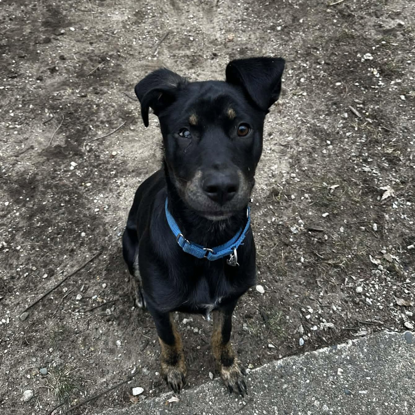 ROCKY