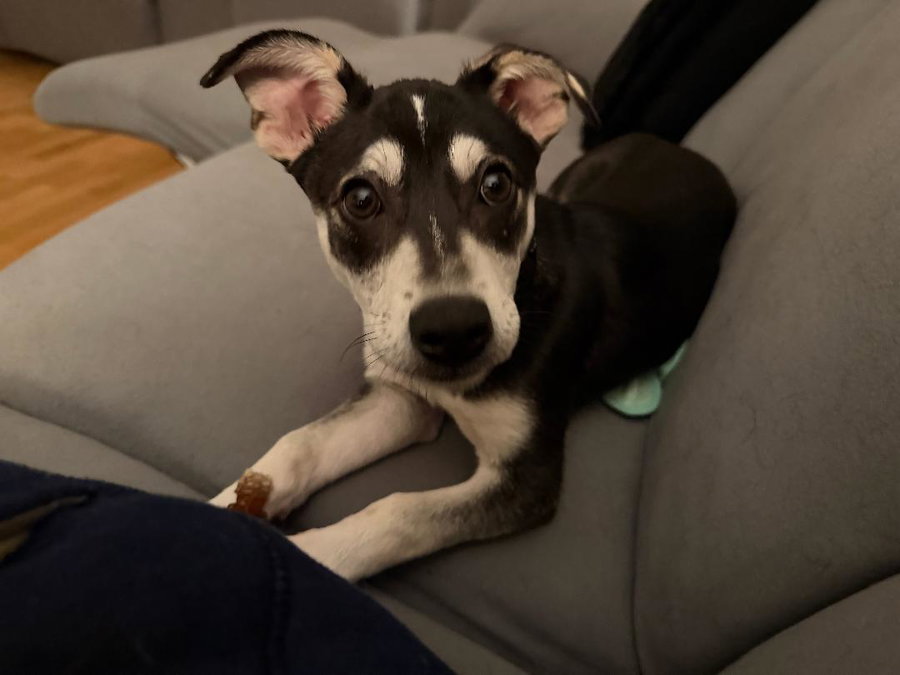 LUKA