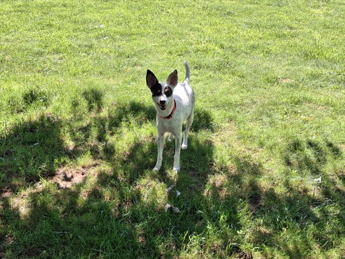 Franky photo 3