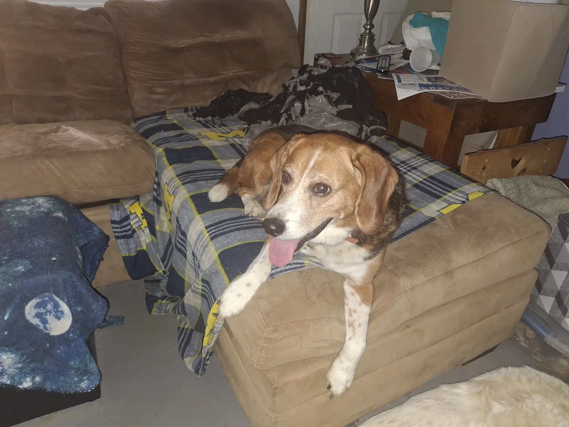 Charlie image 2
