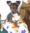 Monty