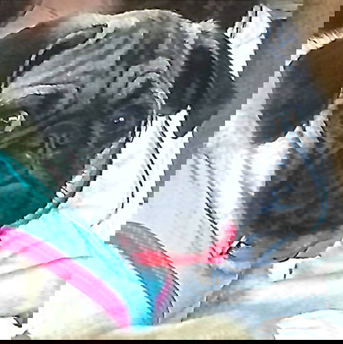 JR