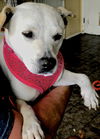Princessita