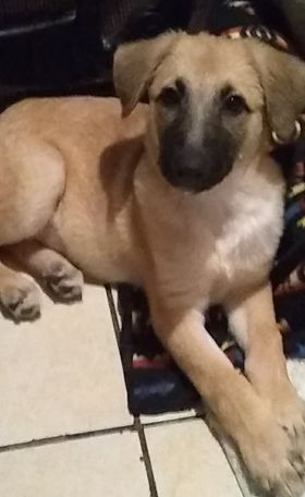 Ellie