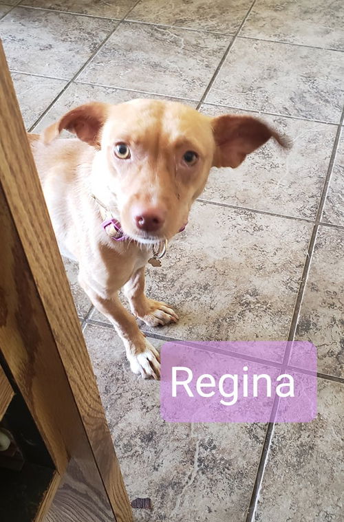 Regina