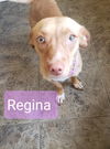 Regina