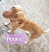 Regina