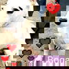 Bogart