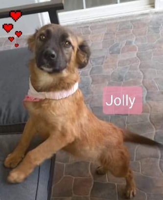 Jolly