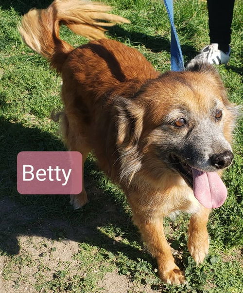 Betty