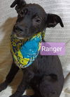Ranger