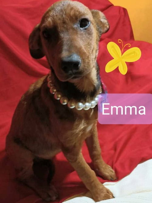 Emma