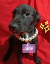 Jade