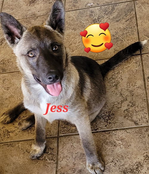 Jess