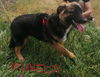 Muneca