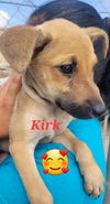 Kirk