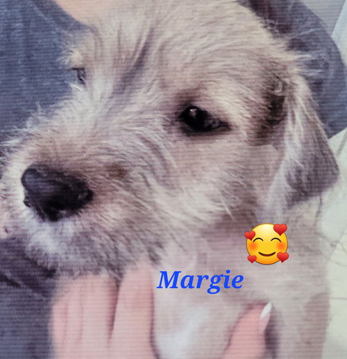 Margie