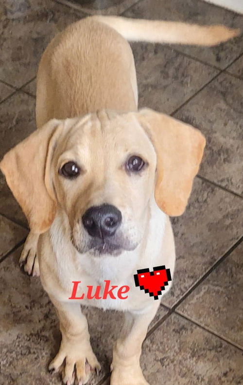 Luke