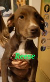 Reece