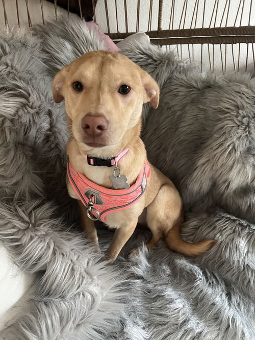 Winnie