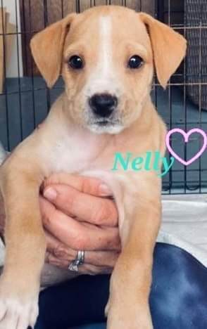 Nelly