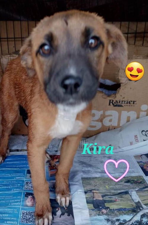 Kira