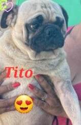 Tito