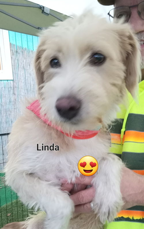 Linda