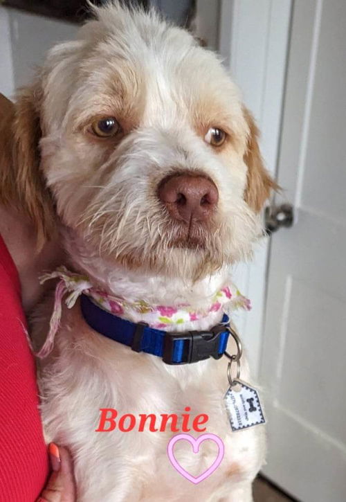 Bonnie