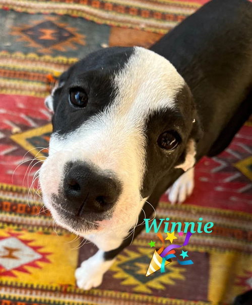 Winifred