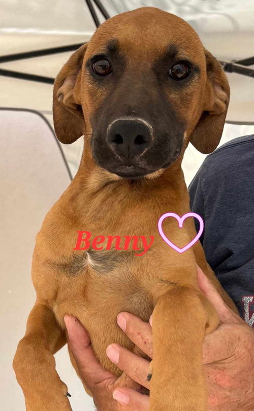 Benny