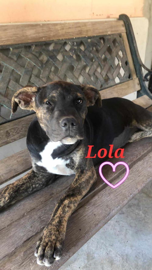 Lola