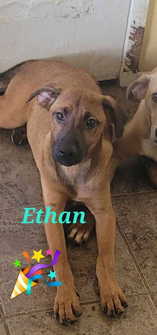 Ethan