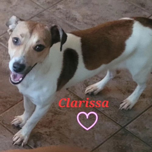 Clarissa