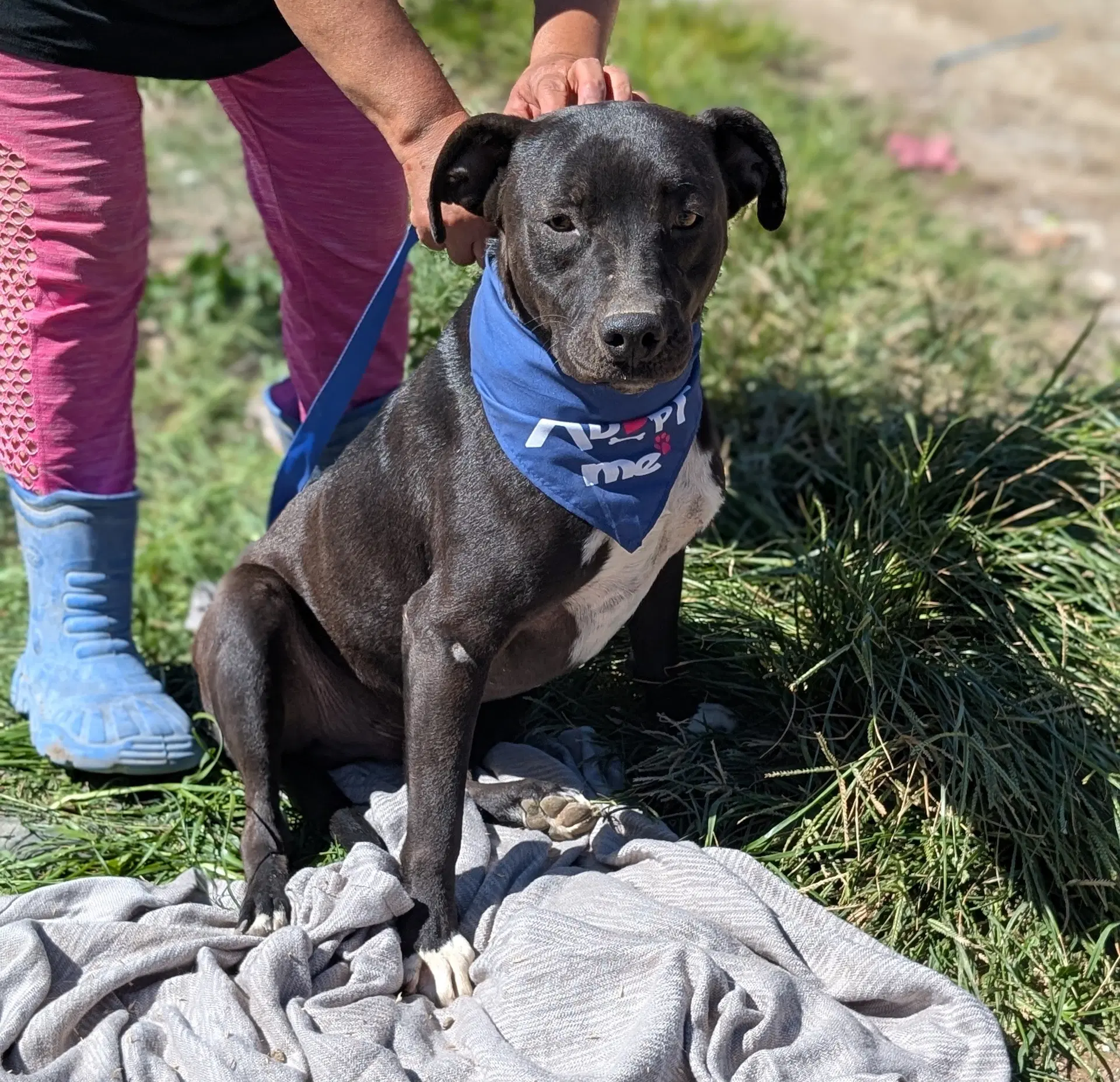 Pepito image 3